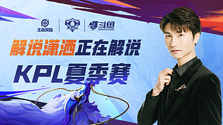 补阵容的勇 补阵容的勇